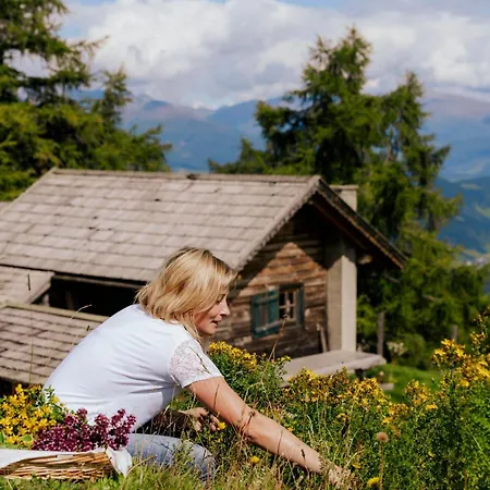 Branntweineralm Guest house Tamsweg