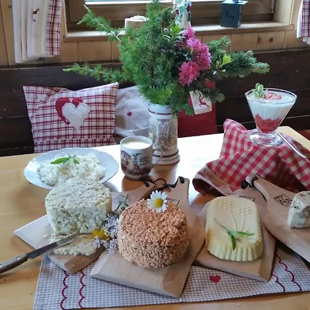 Branntweineralm Guest house *