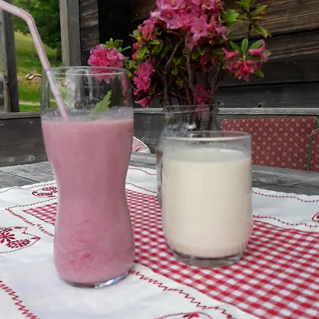 Guest house Branntweineralm